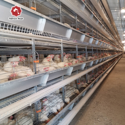 2024 Galvanized Poultry Cage For Layer Chickens Equipment Automated Chicken Layer Farming Cage
