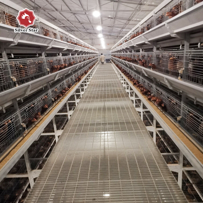 Q235 Hot Galvanized Automatic A Type H Type Poultry Farming Chicken Cage For Layer Equipment