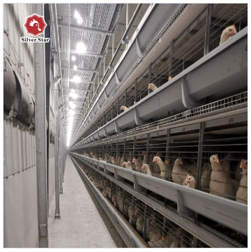 Q235 Hot Galvanized Automatic A Type H Type Poultry Farming Chicken Cage For Layer Equipment