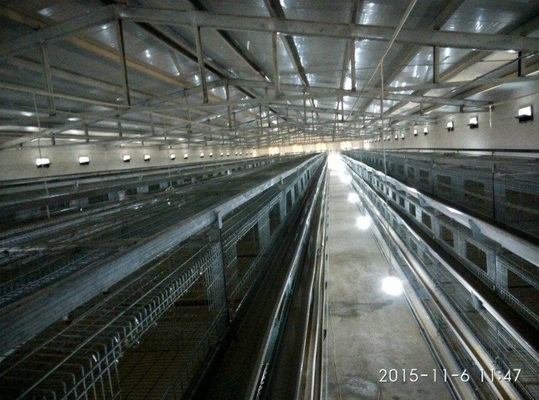The Four-tier Battery Cage System Includes Automatic Ventilation, Housing Up To 120 Layer Chickens.
