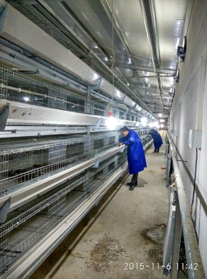 Galvanized H Type 4 Tier Large Layer Chicken Cages For Chicken Cage
