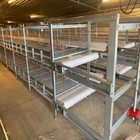 Full Automatic Broiler Cage With Poultry Drinking System
