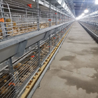 Hot Galvanized Steel Broiler Cage System For Chicken Farm