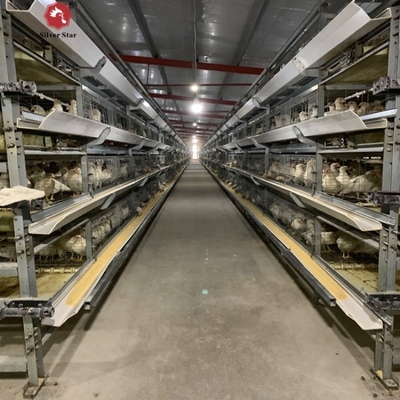 Layer Cage Poultry Equipment Automatic 3 Tiers 4 Tiers A Type Poultry Cages