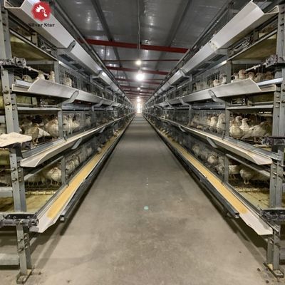 Sistema automático de jaula de batería para pollos de engorde tipo H para granjas comerciales de pollo de carne con marco galvanizado en caliente y configuración de 3-4 niveles