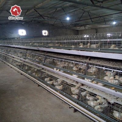 Mejor precio Sistema de jaula de pollo de tipo A automático Jaula de pollo de tipo A para 1000 ₹ 50000 pollos