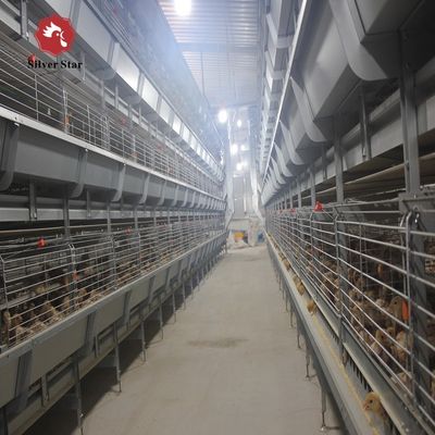 Hot-dip Galvanized Steel H Type Broiler Chicken Cage with Modular Automatic System and Adjustable Breeding Tiers