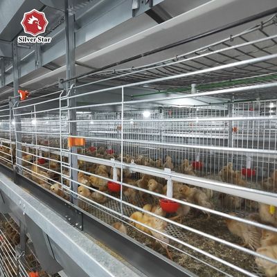 Automated H-Type Broiler Cage System - Full Automatic Hot Galvanized High-Density Poultry Farming Equipment