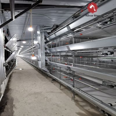 Fully Automatic H-Type Broiler Cage System with Hot-Dip Galvanized Steel for High-Density Poultry Farming