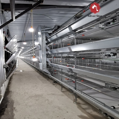 Poultry Feeding Line Broiler Farming Equipment With Automatic Feeders And Drinkers