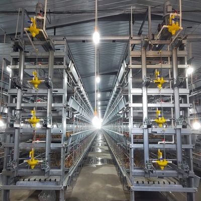 Hot-dip Galvanized Steel H Type Broiler Chicken Cage with Modular Automatic System and Adjustable Breeding Tiers