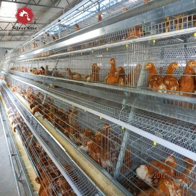 Sistema de jaula de batería de pollo de tipo A para granjas avícolas galvanizado en caliente Fabricante de jaula de pollo de tipo A