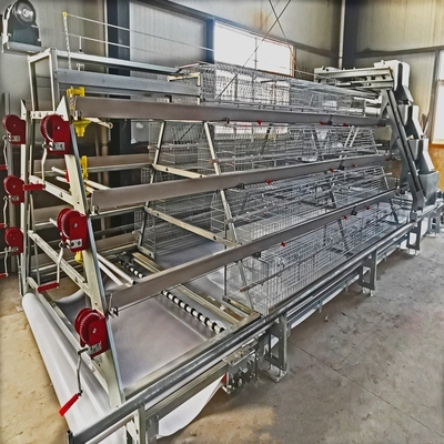 Automatic Broiler Chicken Cage Farm Equipment Poultry 3 Tiers