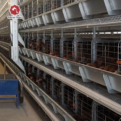 Sistema de jaula de baterías de capa automática tipo H para granjas avícolas comerciales - galvanizado en caliente, recogida automática de huevos, vida útil de 15-20 años