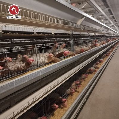Sistema de jaula de pollo de tipo H. Equipo automático de aves de corral para granjas comerciales de huevos