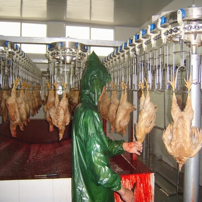 Halal Slaughtering Equipment Chicken Slaughterhouse for Farm Home 500BPH-800BPH