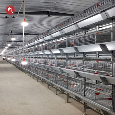 Sistema de jaulas para pollos de engorde tipo H con galvanizado en caliente para cría de alta densidad y alimentación automática