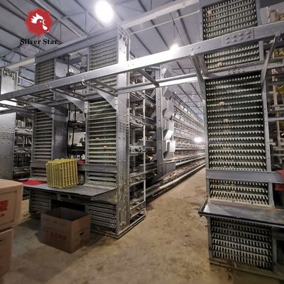 Sistema automático de jaula de batería para pollos de engorde tipo H para granjas comerciales de pollo de carne