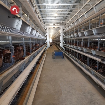 H Type Automatic Layer Chicken Cage Poultry System Battery Cages Q235A Hot Dipped