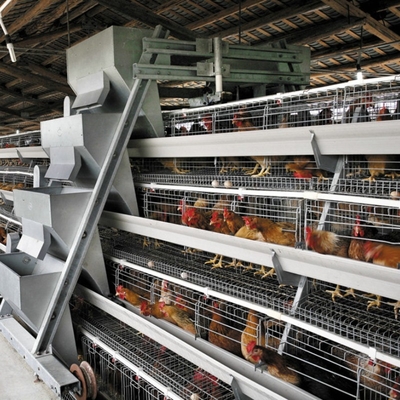 A Type Egg Layer Battery Chicken Cage With Automatic Egg Collection System