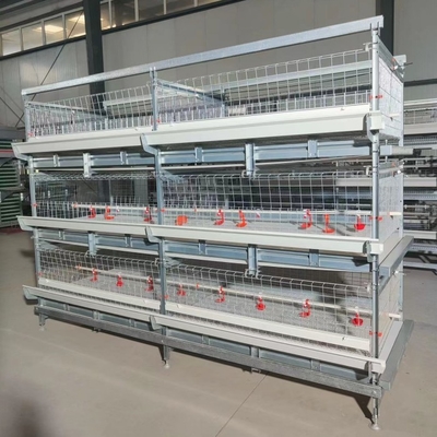 30000 Birds Hot Dip Galvanized Steel H Type Battery Cages For Broiler Chicken