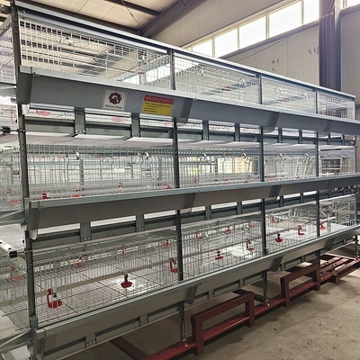 H Frame 4 Tiers Meat Chicken Broiler Cage 136 Birds Per Set