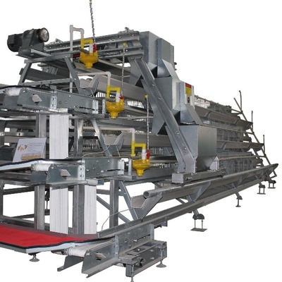 Automatic Egg Collection Device For  A Type And H Type Chicken Cage For Poultry Raise