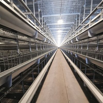 Jaula de capas galvanizadas en caliente de tipo H Jaula automática de aves de corral de alta capacidad con alimentación automática para granjas avícolas grandes