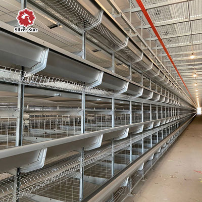 Equipo automático de granja avícola de alta densidad tipo H de capa de batería Sistema de jaula de pollo para granja de producción de huevos