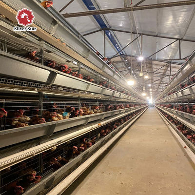 Sistema de jaula de batería para gallinas tipo H personalizado para avicultura de alto rendimiento