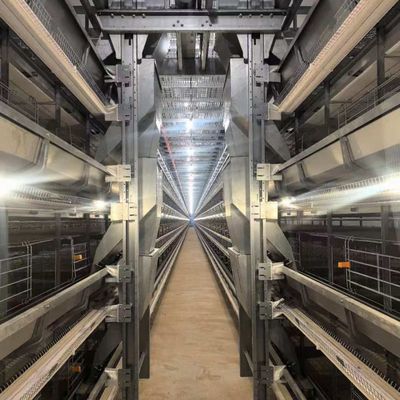 Layer Chicken Cage The Perfect Solution for Raising Layers in Your Poultry Farm