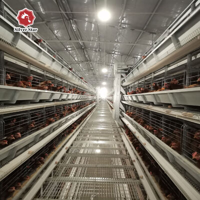Cajera de pollo de tipo H con 20 años de vida útil para 54-216 gallinas en 3-8 niveles