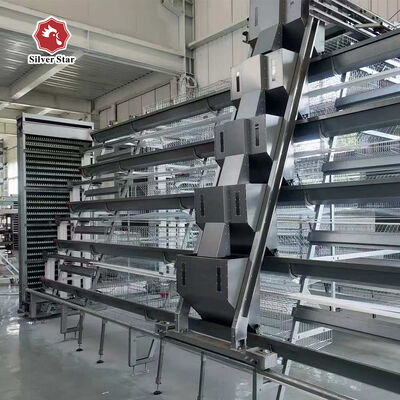 Jaula para pollos de engorde tipo A galvanizada en caliente con eliminación automática de estiércol y alta densidad para granjas avícolas