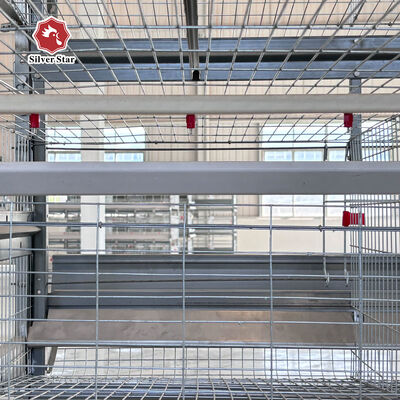Layer Chicken Cage Manufacturer Automatic Feeding & Drinking System For Egg Layer Chicken