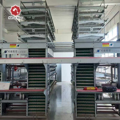 Layer Chicken Cage Manufacturer Automatic Feeding & Drinking System For Egg Layer Chicken