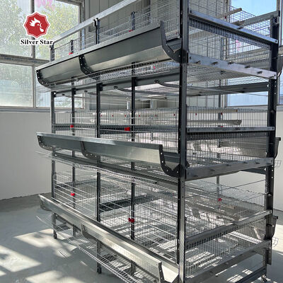 Battery Cage System for Layer Chickens Poultry Farming Equipment Supplier