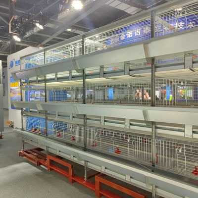 Automated H-Type Broiler Cage System Hot Dip Galvanized High Density Full Automatic Poultry Farming Equipment