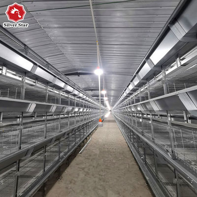 H One Day Old Meat Poultry Broiler Cage For Chicken Farm