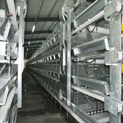 Sistema automático de jaula de baterías tipo H con galvanizado por inmersión en caliente y diseño modular apilable para la cría comercial de aves de corral