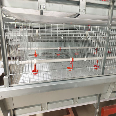 Poultry Farm Q235 3 - 4Tier Battery Chicken Cage Broiler Breeding Use