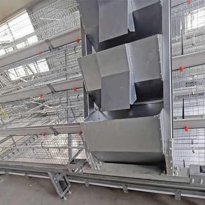 Hot Galvanized Wire 4 Layers Baby Chick Cage 240 Birds/Set SGS Approval