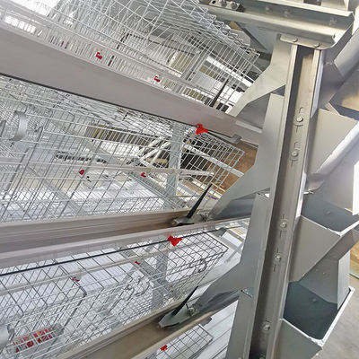 A Type 3-4 Layers Brooding Cages For Chickens , Q235A Galvanized Chicken Cage