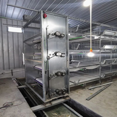 Sistema de Jaula para Baterías Tipo H con Galvanizado en Caliente, Comedero Automático y Diseño Modular Apilable para Granjas Comerciales