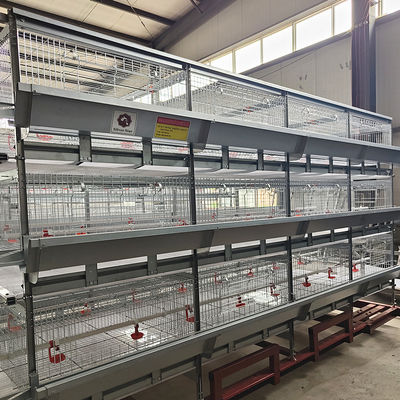 Q235 Chicken Cages Poultry Farming Equipment 3-6mm Thickness