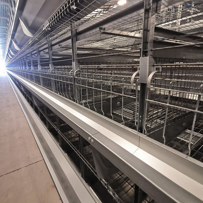 Sistema de jaula de batería de pollo de tipo H directo de fábrica con galvanizado en caliente, alfombras de malla de plástico suave y limpieza automática de estiércol de cinturón de PP