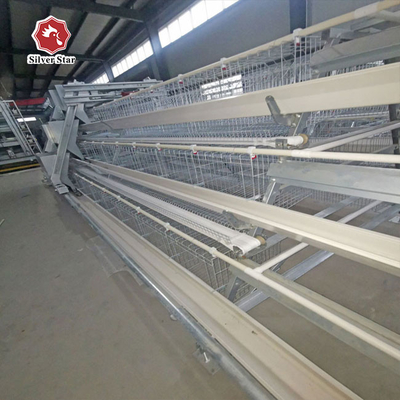A Type Full Automatic Layer Chicken Cage 4 Layers / Cell