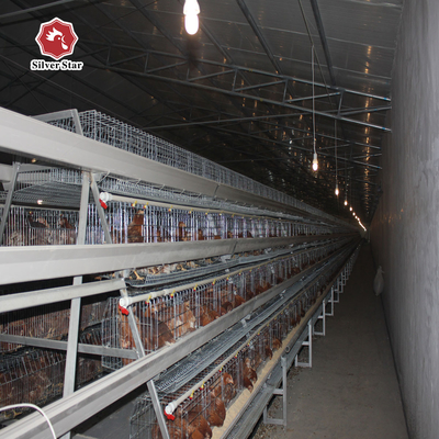 Agricultural Equipment Poultry Breeding Cage In Chicken Cages For Breeders