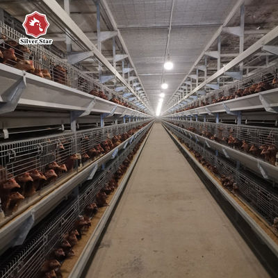 Sistema comercial de jaulas para pollos de tipo H para granjas avícolas a gran escala