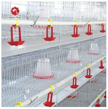 Sistema de jaula de batería de pollo de tipo A para granjas avícolas galvanizado en caliente Fabricante de jaula de pollo de tipo A