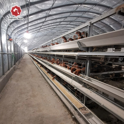 5 Layers Hot Dipped Galvanized Chicken Cage Battery Cage System